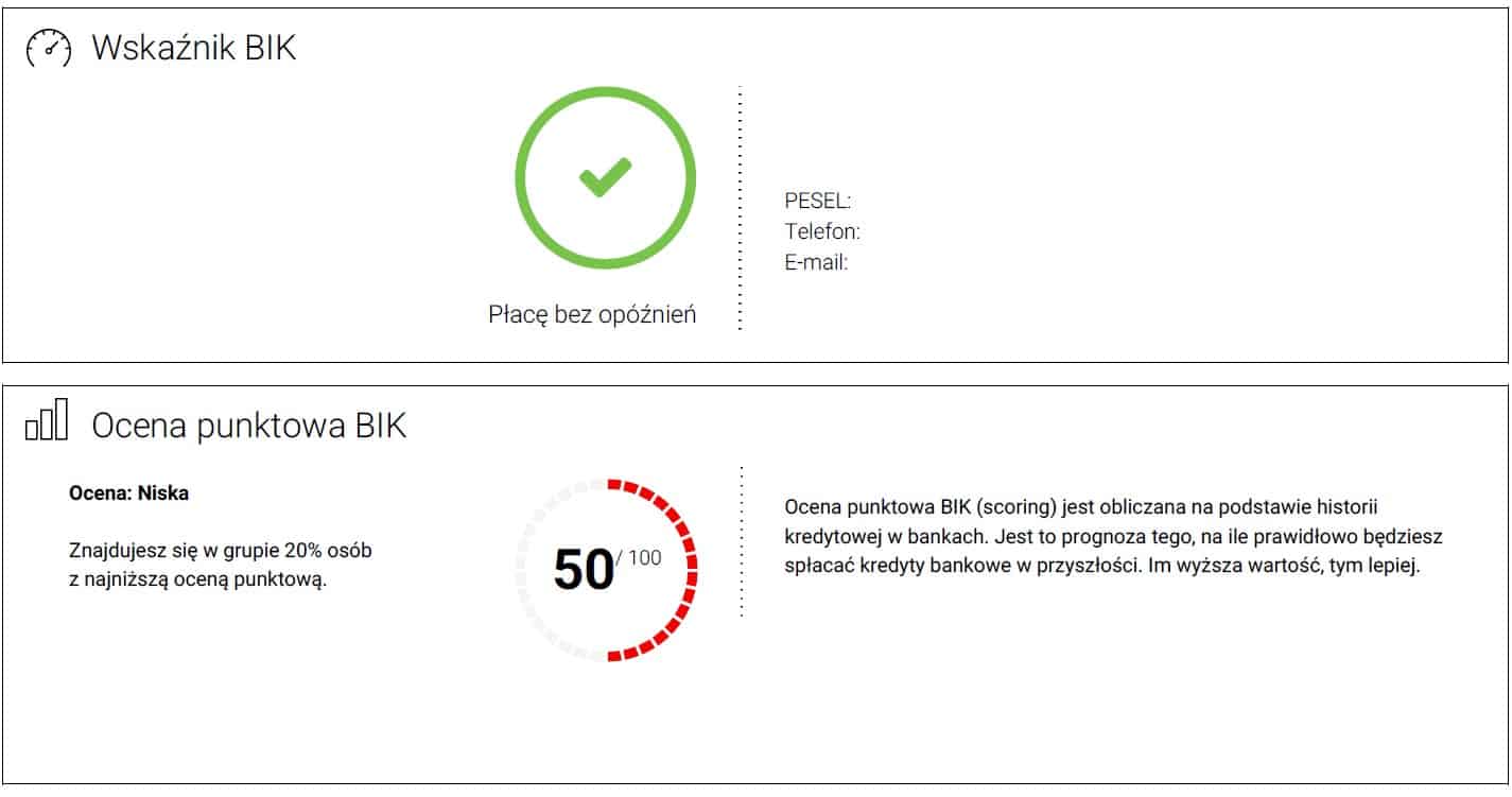 Ocena punktowa Raport BIK